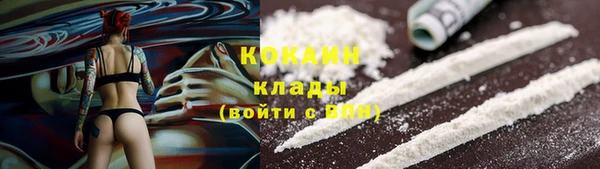 индика Горняк