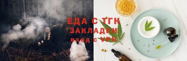 индика Горняк