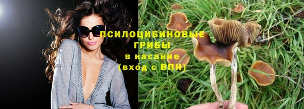 apvp Вязьма