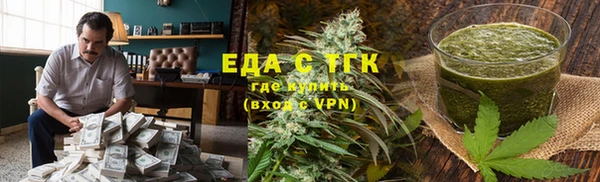 индика Горняк
