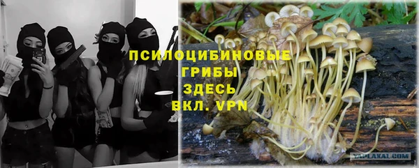 apvp Вязьма