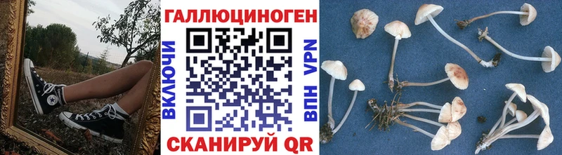 Псилоцибиновые грибы GOLDEN TEACHER  Ногинск 